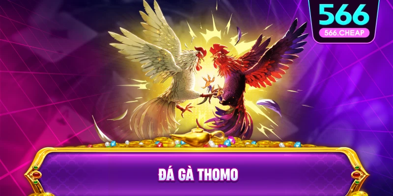 Đặc Điểm Nổi Bật Của Đá Gà Thomo