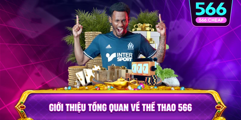 Giới Thiệu Tổng Quan Về Sảnh Thể Thao 566