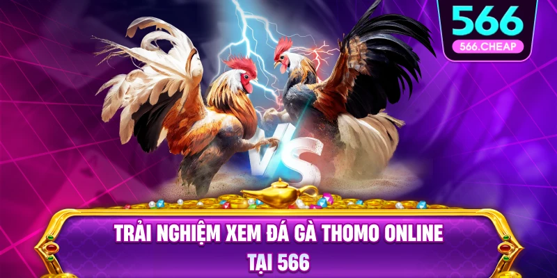 Trải nghiệm đá gà thomo online tại 566